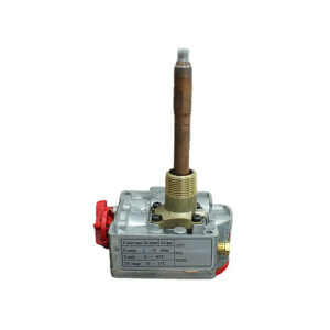 boitier allumage puls√© batterie (pulse ignition box battery type)